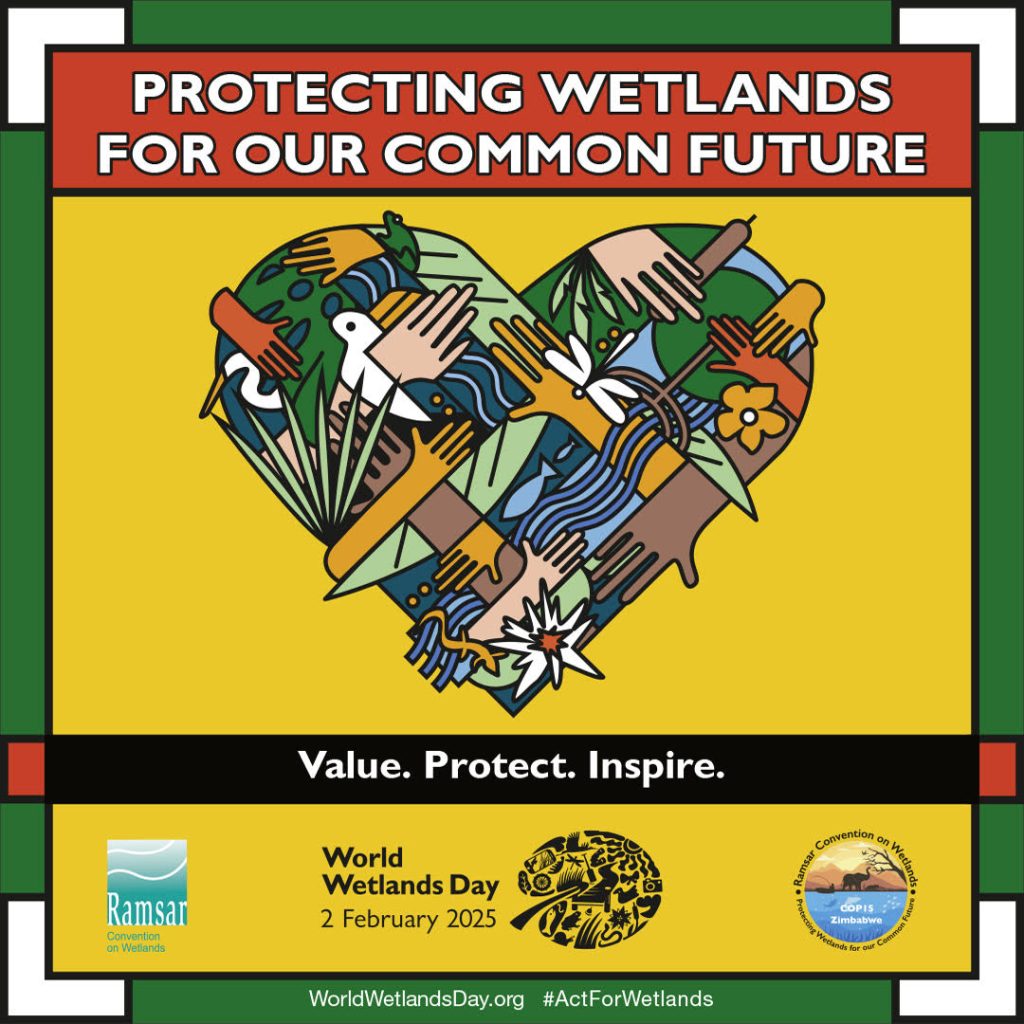 Protecting Wetlands for our Common Future 2