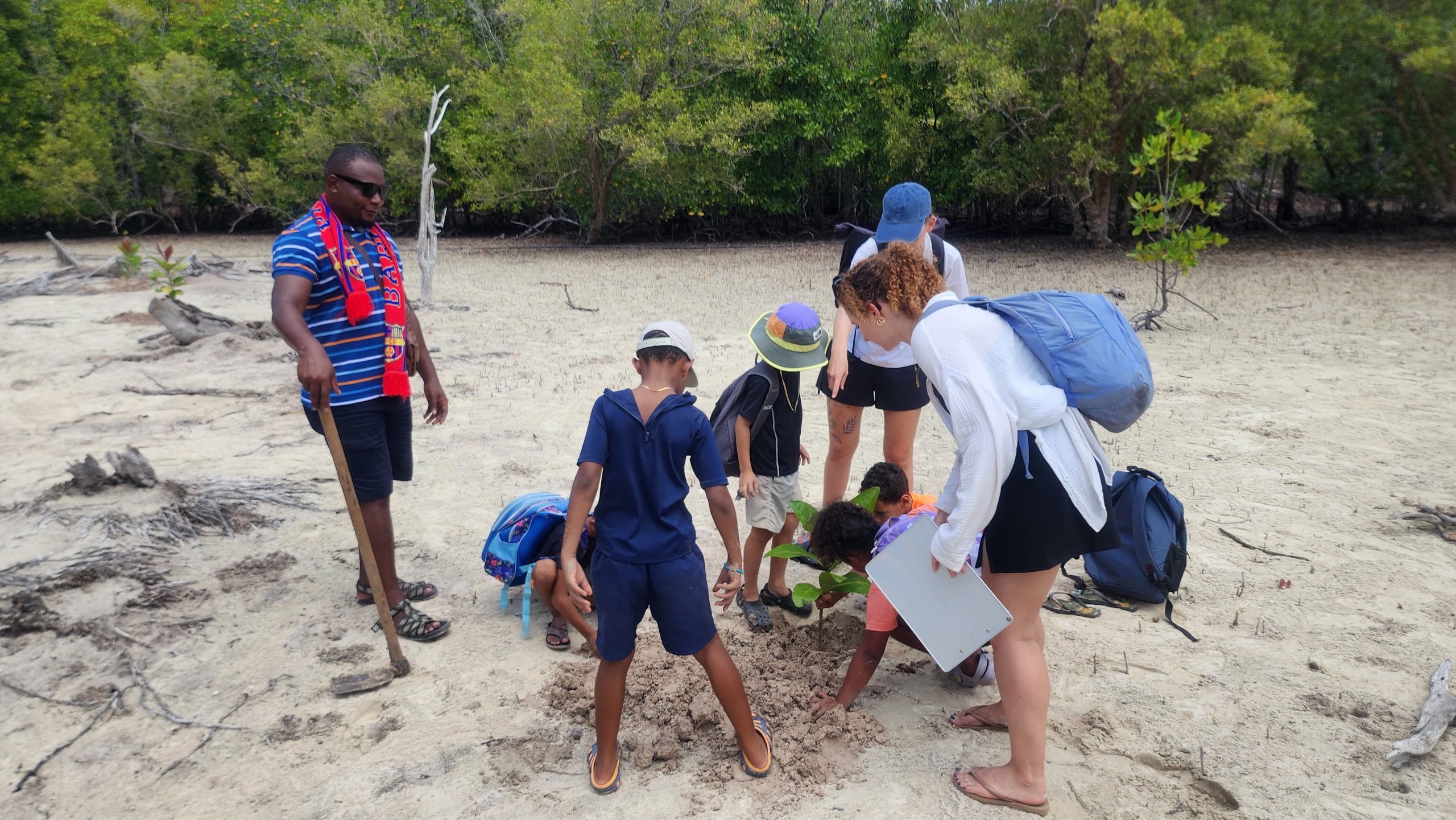 Rehabilitating the mangrove habitat of Curieuse Island